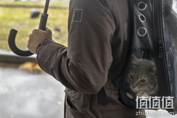 猫咪太空包怎么选择？猫咪太空包选购指南