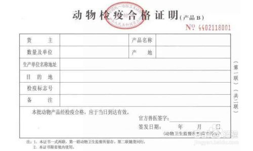 长途怎么携带宠物