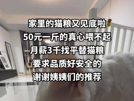 求安全可靠的猫粮 谢谢#快看啊这是我的猫 #萌宠出道计划 #记录猫咪日常 #抖in萌宠计划 #猫粮推荐