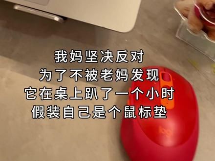 这才是真正的老戏骨 #萌宠松狮 #抖in萌宠计划 #松狮熊猫宝宝