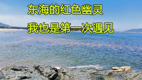 带着狗狗平潭岛自驾游，房车停在海边露营，无意中看到了红色幽灵