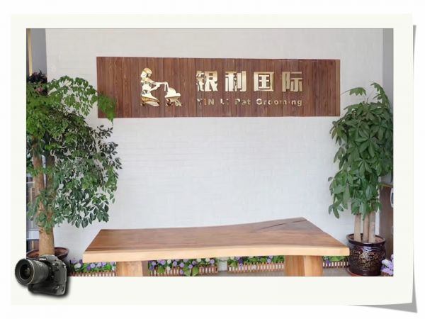 银利国际宠物