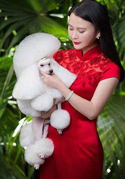 八大理由