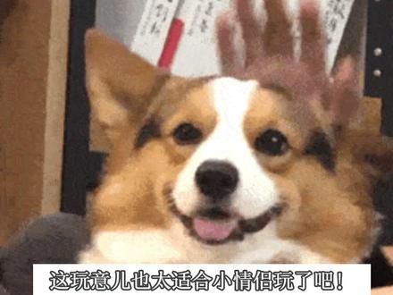 简直是我的电子儿子！！！ #suki #情侣 #恋爱 #云养宠 #电子儿子
