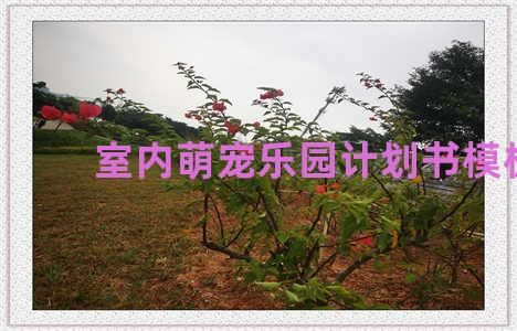 室内萌宠乐园计划书模板