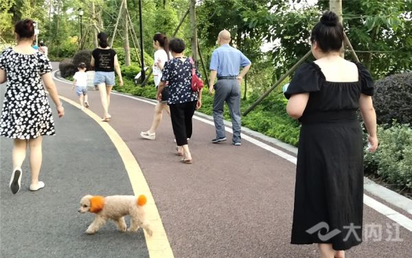 1_副本.png