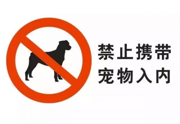 宠爱中秋特辑，宠物出游全攻略！