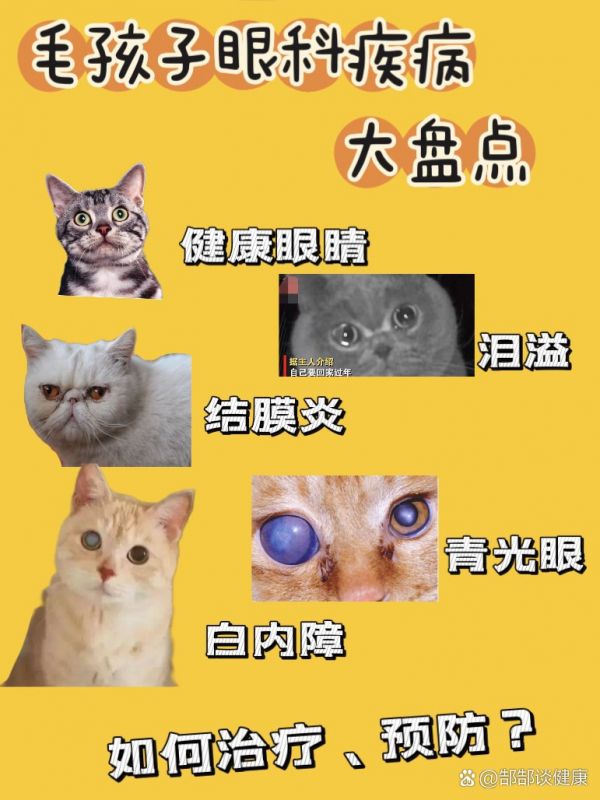 https://selfpage-gips.cdn.bcebos.com/406e8a0d065175ecab496f971cae4862.jpg