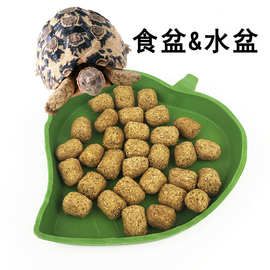 爬虫食盆水盆陆龟 守宫玉米蛇爬宠 喝水碗塑料用品绿色生态仿真