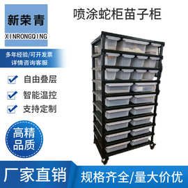 新荣青宠物蛇爬宠柜蛇柜苗子柜爬柜抽屉蛇架多层