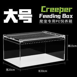 亚克力透明塑料宠物饲养盒创意简约蜥蜴守宫仓鼠乌龟玉米蛇爬虫类