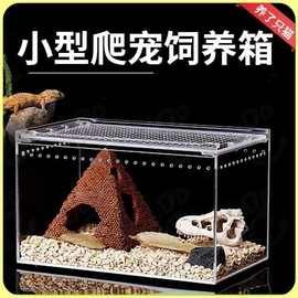 亚克力饲养盒子爬虫箱蜘蛛蜥蜴角蛙陆龟守宫箱爬虫用品批发蛇跨境