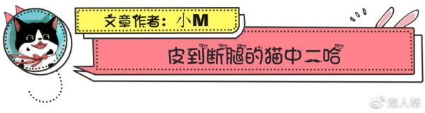 å¾ç