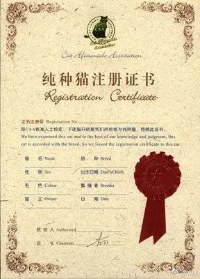 å¾ç