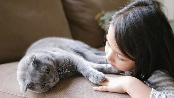 å¾ç