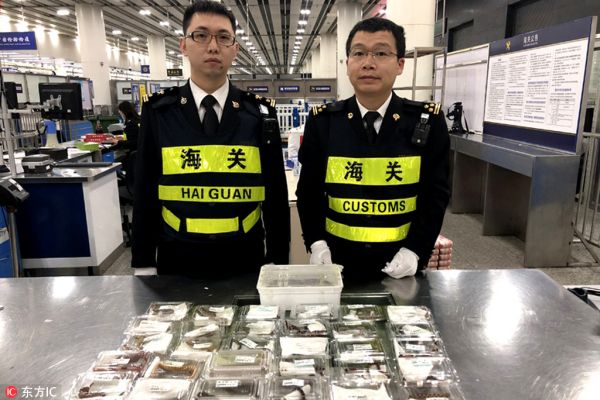 猪鼻蛇？奶蛇？深圳海关查获一批“宠物”蛇与蜥蜴【3】