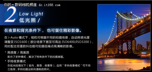 iHS优质高感体验 奥巴SZ-31MR实拍猫咪