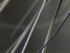 iHS优质高感体验 奥巴SZ-31MR实拍猫咪