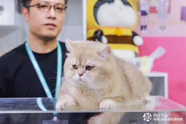 全球盛会，「圳」聚商机！ 第11届中国(深圳)国际宠物用品展盛大开幕！