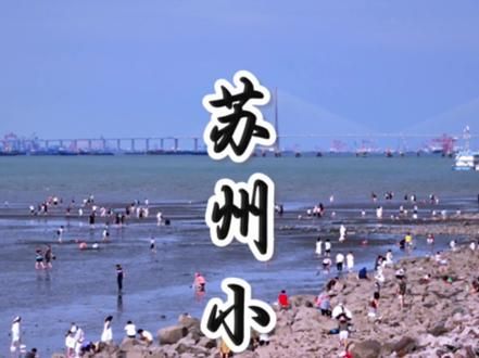不在青岛，也不在威海，这里是苏州版“小三亚” #带你去看海 #赶海 #治愈系风景 #苏州游玩攻略 #苏州