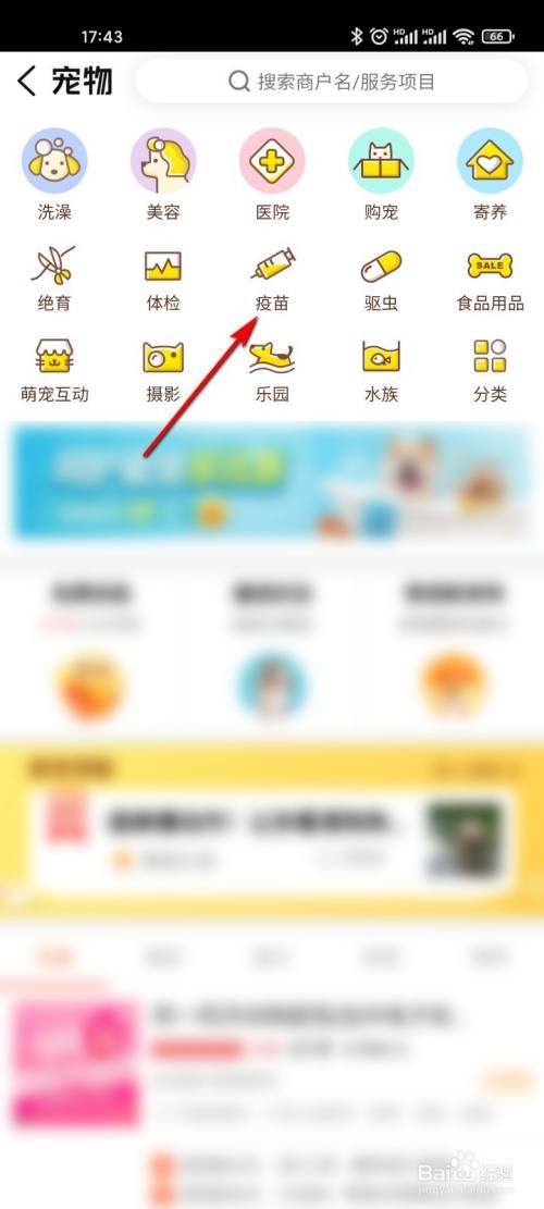 大众点评怎么抢购宠物疫苗