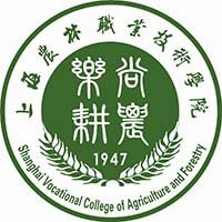掌上高考