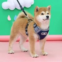 狗狗胸背带牵引绳外出柯基泰迪大中小型犬幼犬遛狗宠物绳子防挣脱