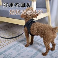 背心式牵引带狗链子宠物狗狗胸背带牵引绳中小型犬泰迪博美遛狗绳