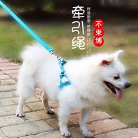 狗狗牵引绳狗绳狗链子绳子小型犬遛狗宠物项圈猫咪泰迪绳用品