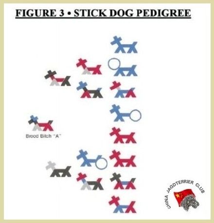 犬类遗传学 基因学和繁殖策略