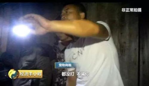 宠物商贩