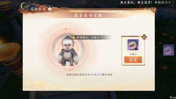 《天龙八部2》宠物系统宠物繁育攻略