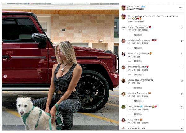 宠物成“时髦单品”，牵狗绳WILDONE如何在海外营销为网红宠物品牌？