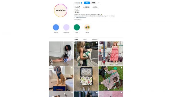 宠物成“时髦单品”，牵狗绳WILDONE如何在海外营销为网红宠物品牌？