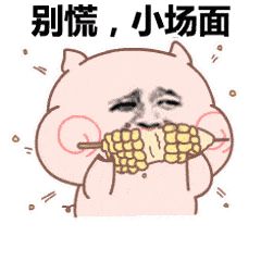 修狗勾毛发飘逸柔顺的秘密--沐森堂洗护系列