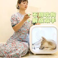 让宠物也享受高科技带来的舒适感