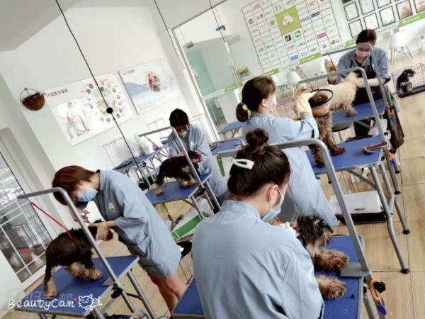 教学现场
