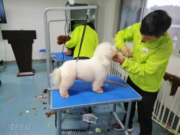 教学现场