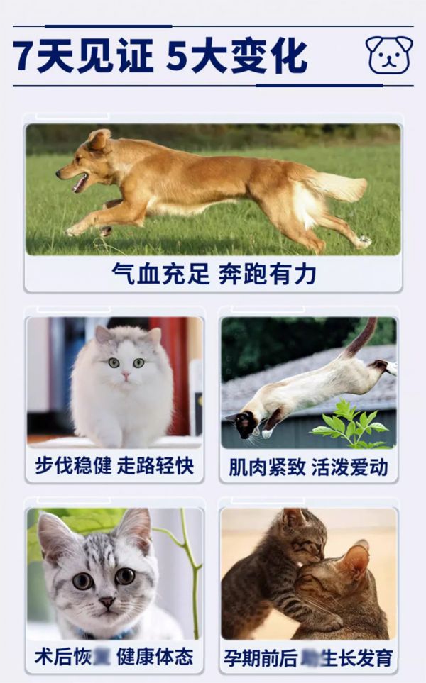 详情产品_05.jpg
