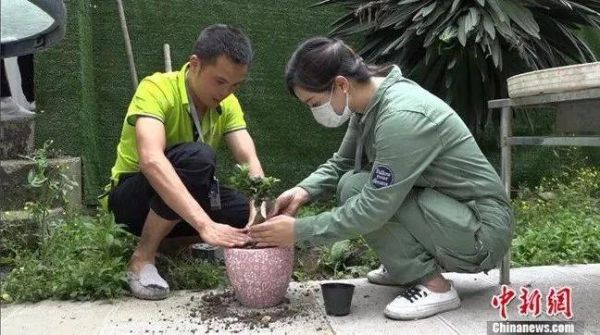 杨丹和同事一起安葬宠物骨灰。蒲文思供图