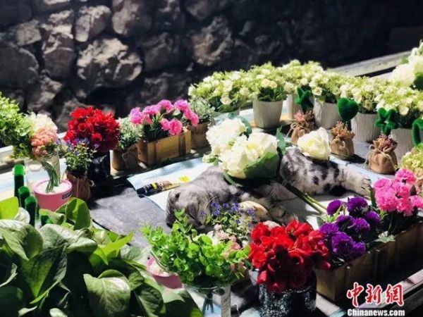 受访者供图。