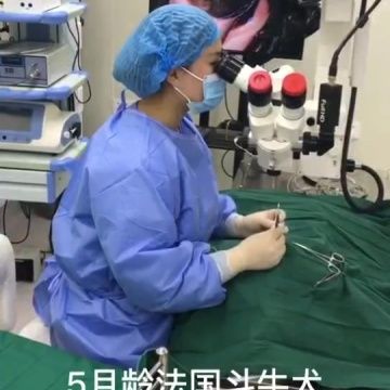 动物眼科医生