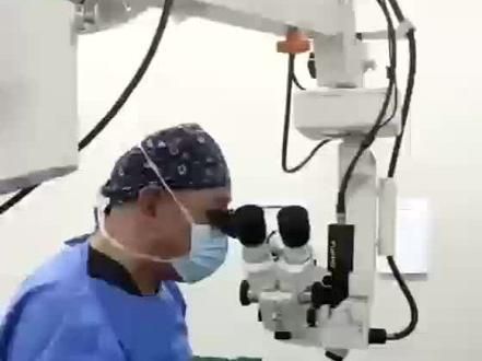 大理来的14岁马尔济斯犬晶状体囊内摘除术#宠物眼科 #动物眼科医生 #名视动物眼科