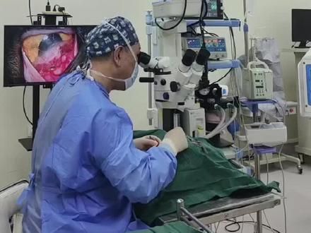 又是手术的一天#宠物眼科 #动物眼科医生 #名视动物眼科