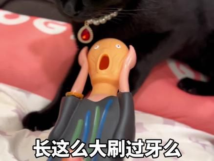 被采访过的猫咪都没刷过牙#新手养猫 #多美洁液体牙膏 #宠物牙齿清洁 #萌宠好物