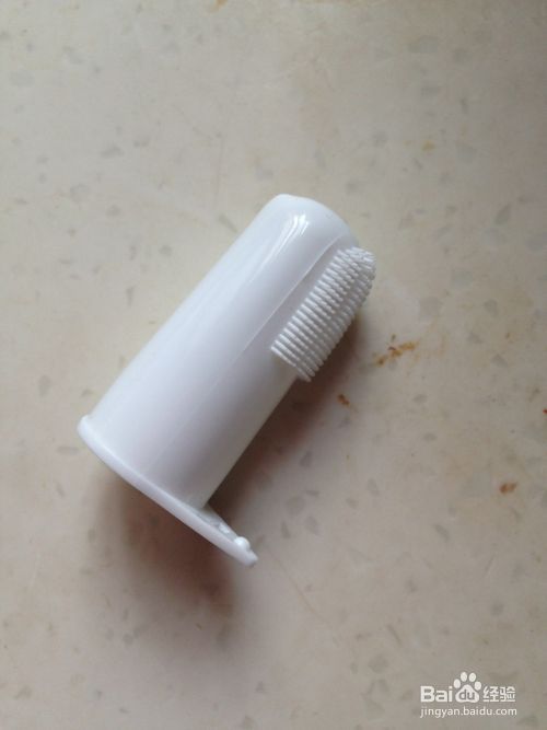 如何清洁狗狗的牙齿
