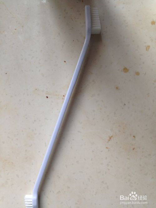 如何清洁狗狗的牙齿