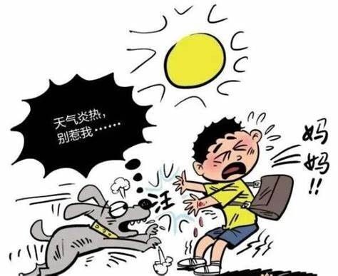 养狗的法律法规你知道几条呢?