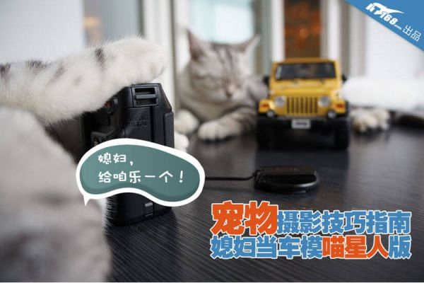 媳妇当车模喵星人版