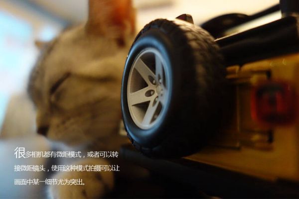 宠物摄影技巧指南